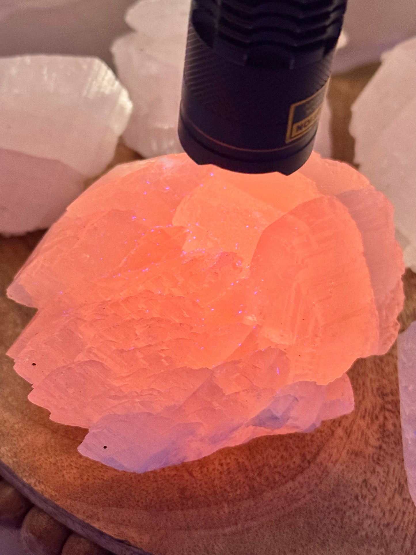 You pick! Incredible UV reactive pink shell calcite from China