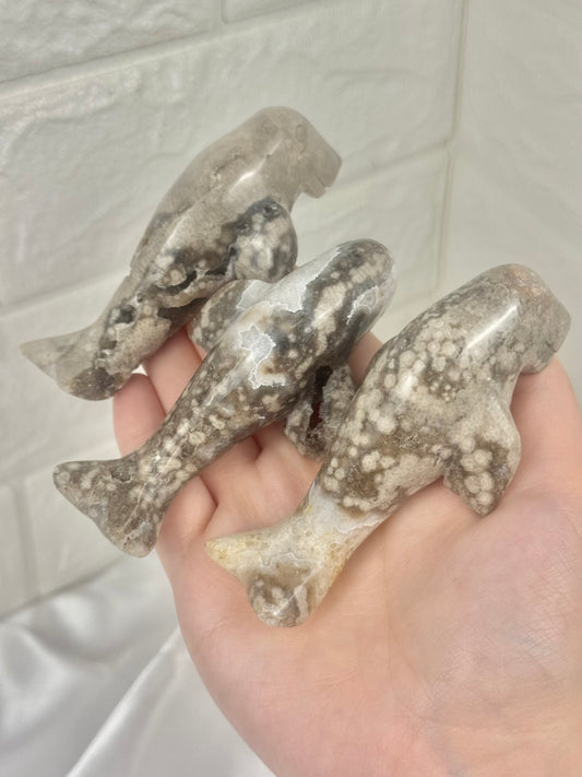 1 adorable Orbicular jasper manatee