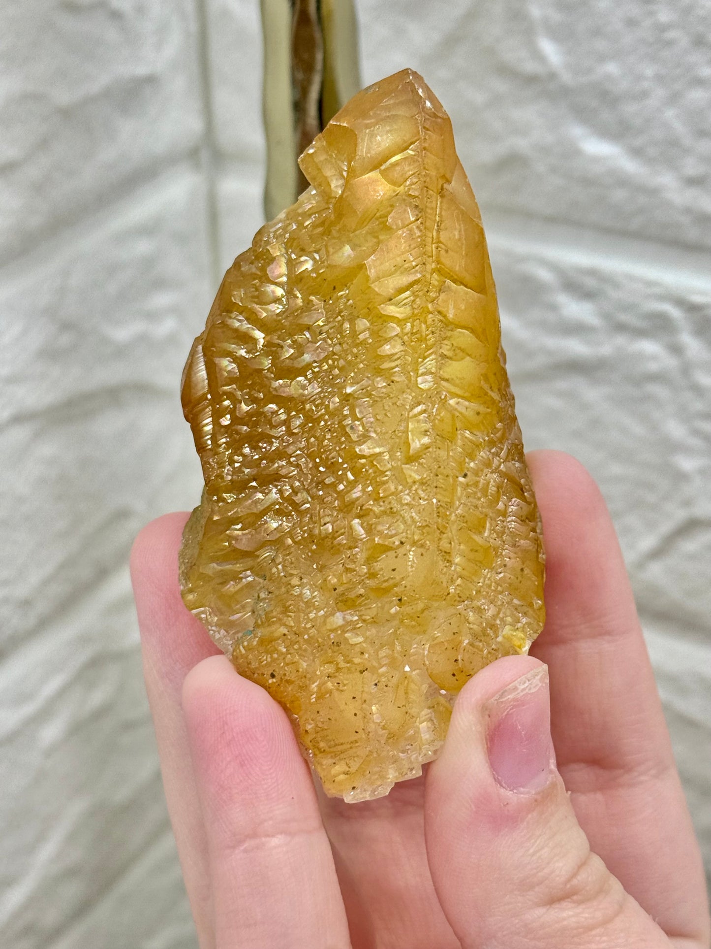 You pick! Naturally iridescent golden calcite from Hunan China