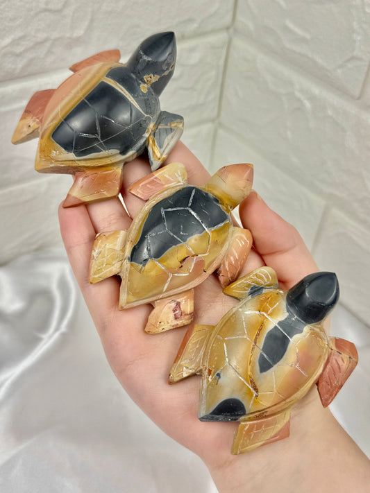 1 adorable rainbow jasper turtle