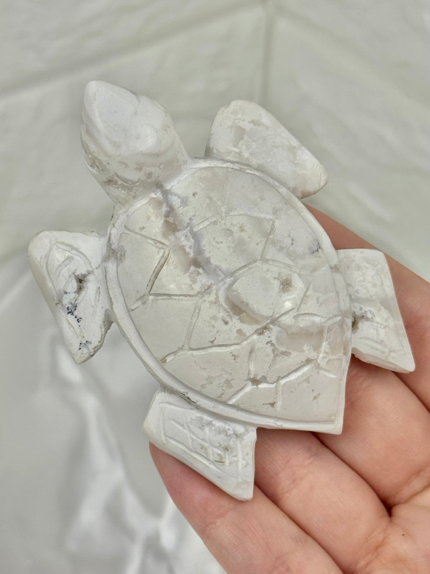 1 druzy snow agate turtle