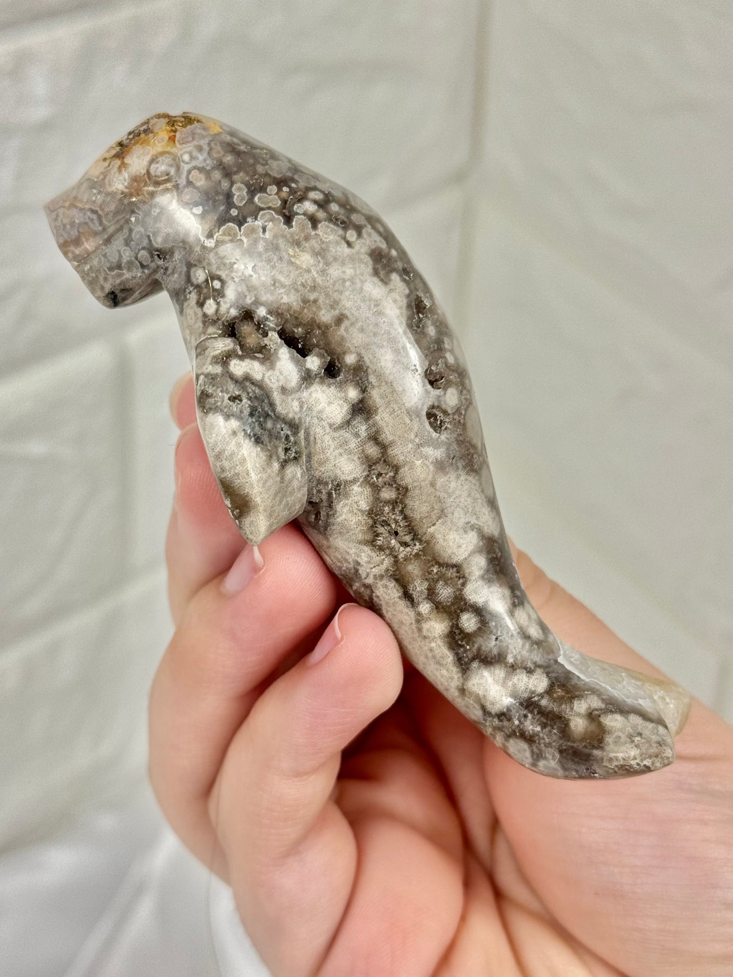 1 adorable Orbicular jasper manatee