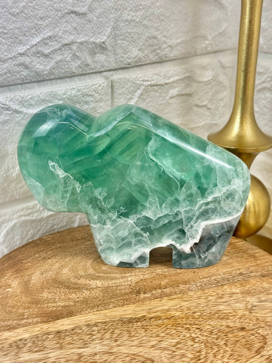 XL stunning Mexican fluorite buffalo