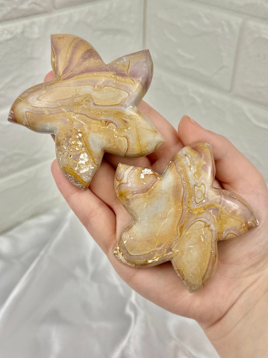 1 pastel polychrome jasper starfish