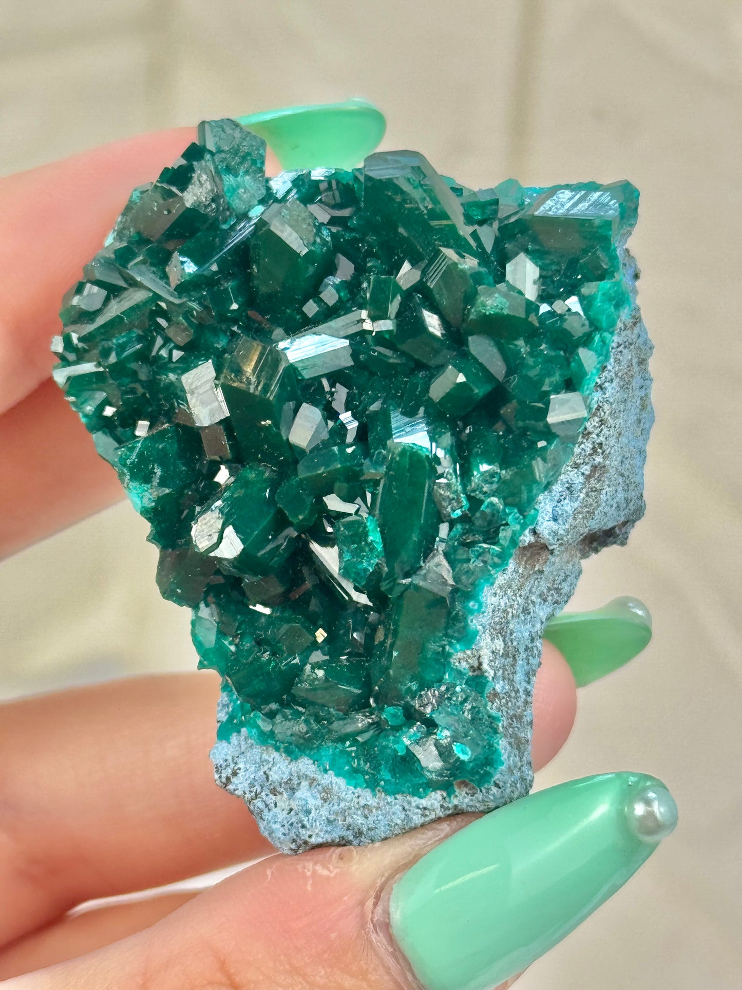 You pick! Insane high-grade dioptase specimens from DRC