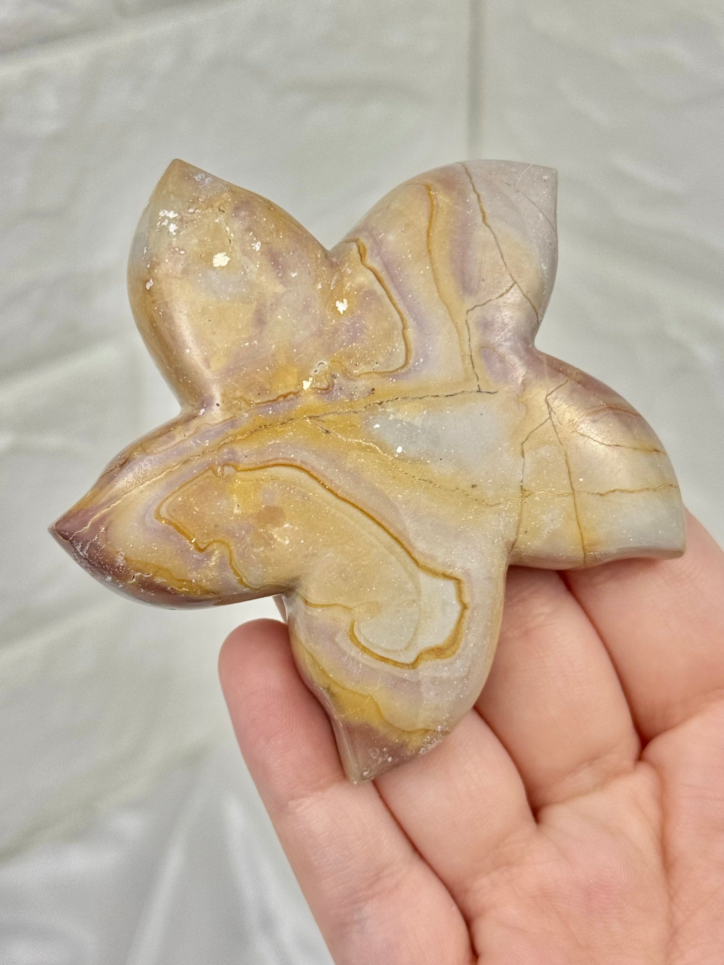 1 pastel polychrome jasper starfish