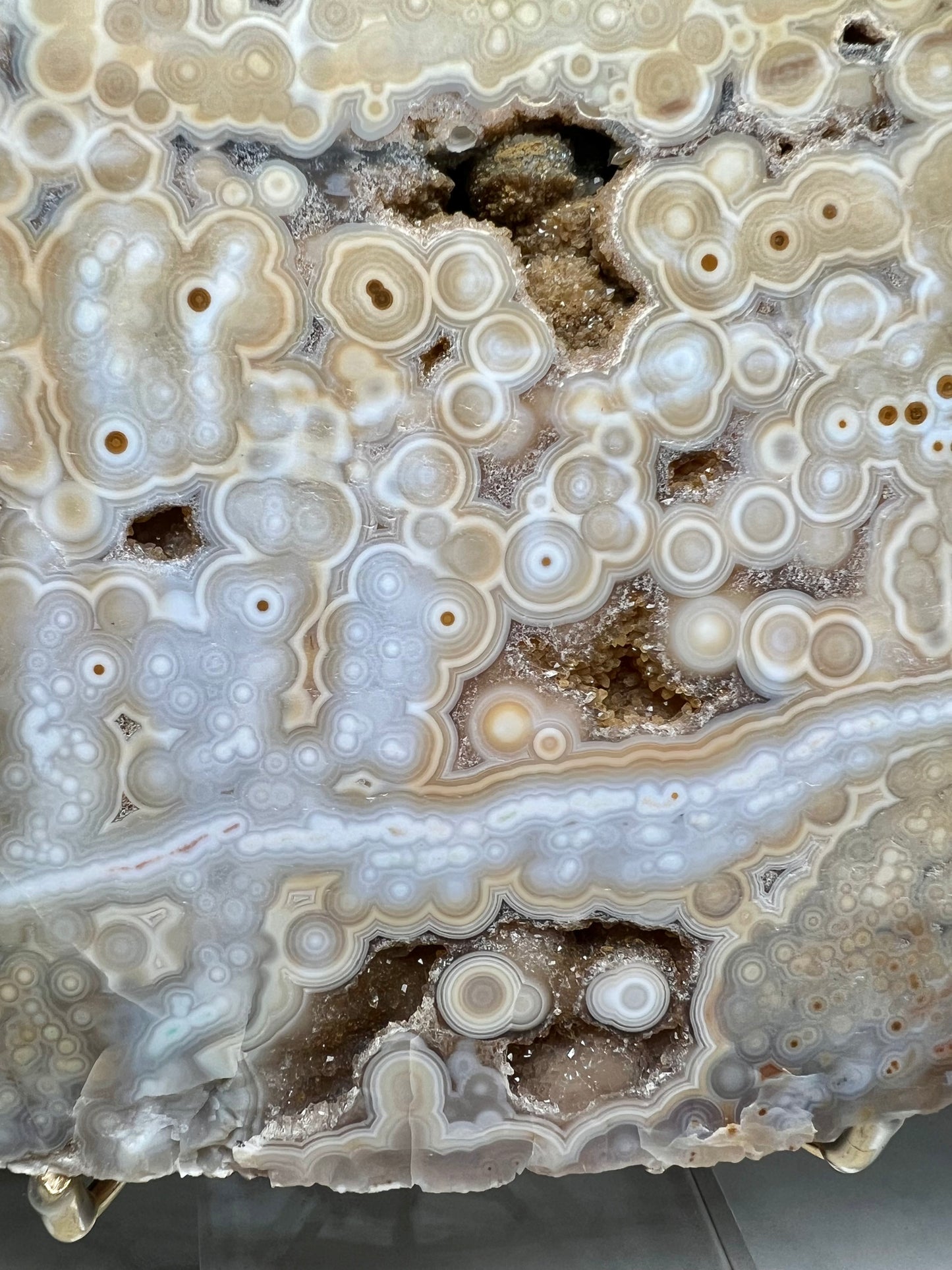 AAA yellow druzy orbicular ocean jasper slab from Madagascar