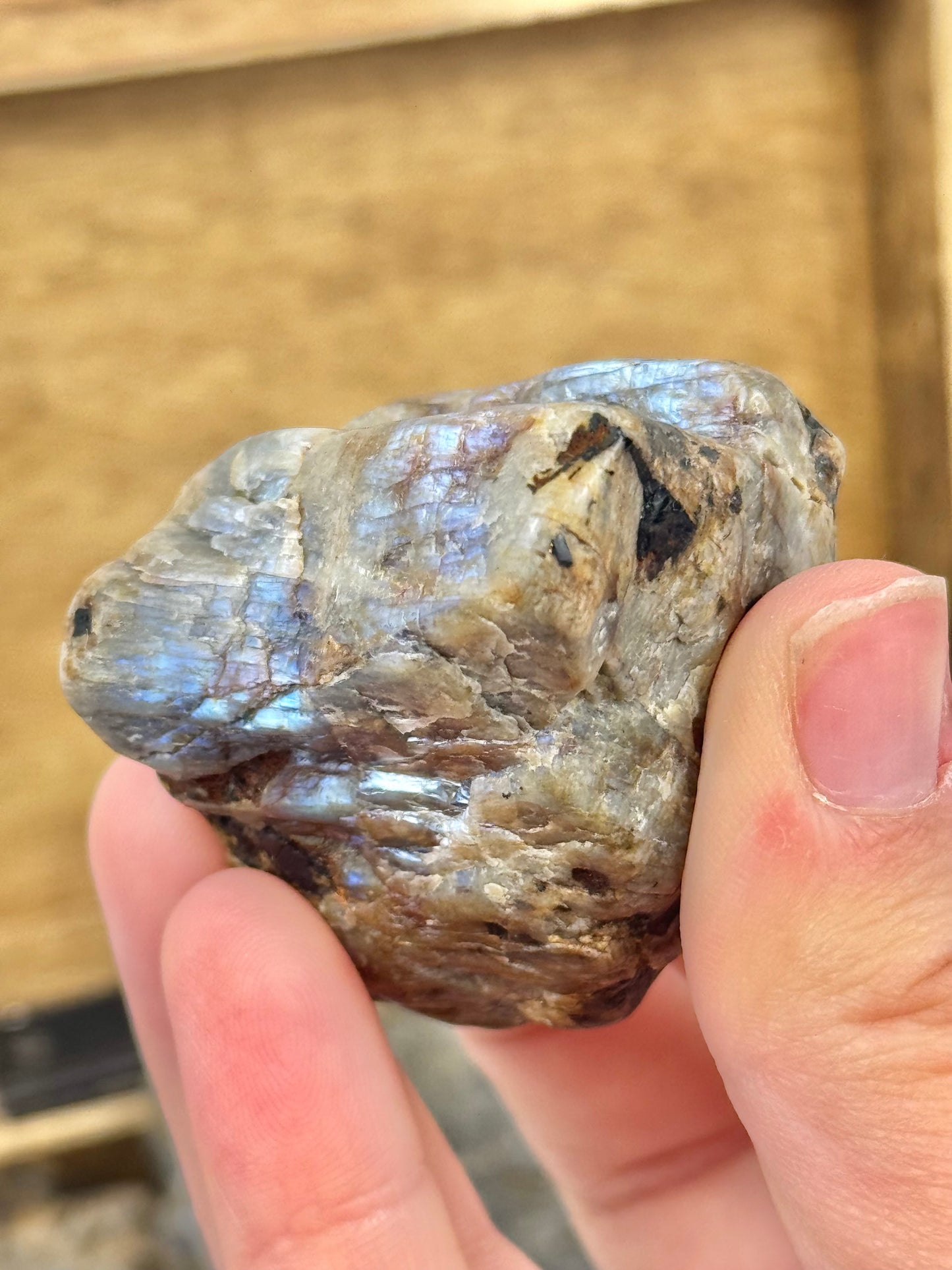 1 raw piece of blue moonstone from Wisconsin