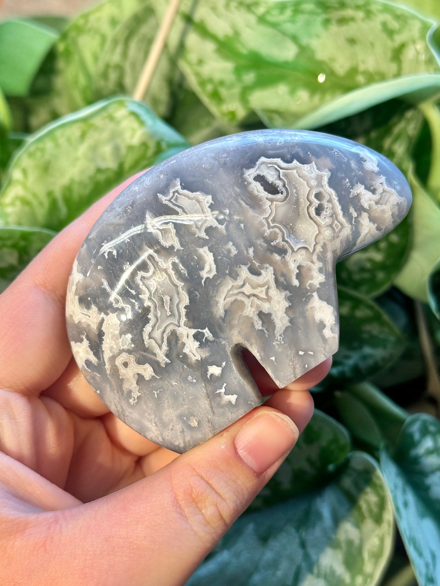 1 LG intuitive blue plume agate bear from Indonesia