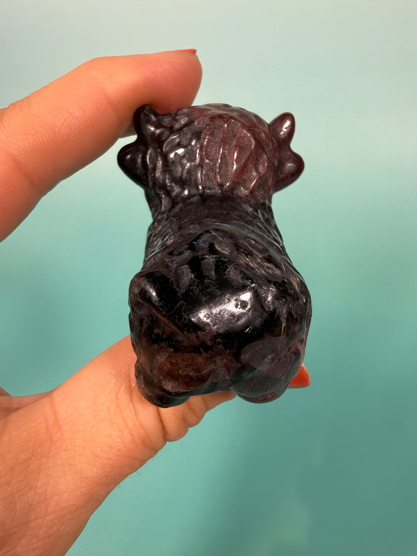 Firework stone highland cow