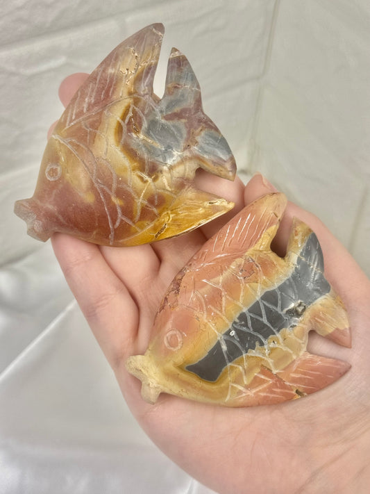 1 beautiful rainbow jasper fish