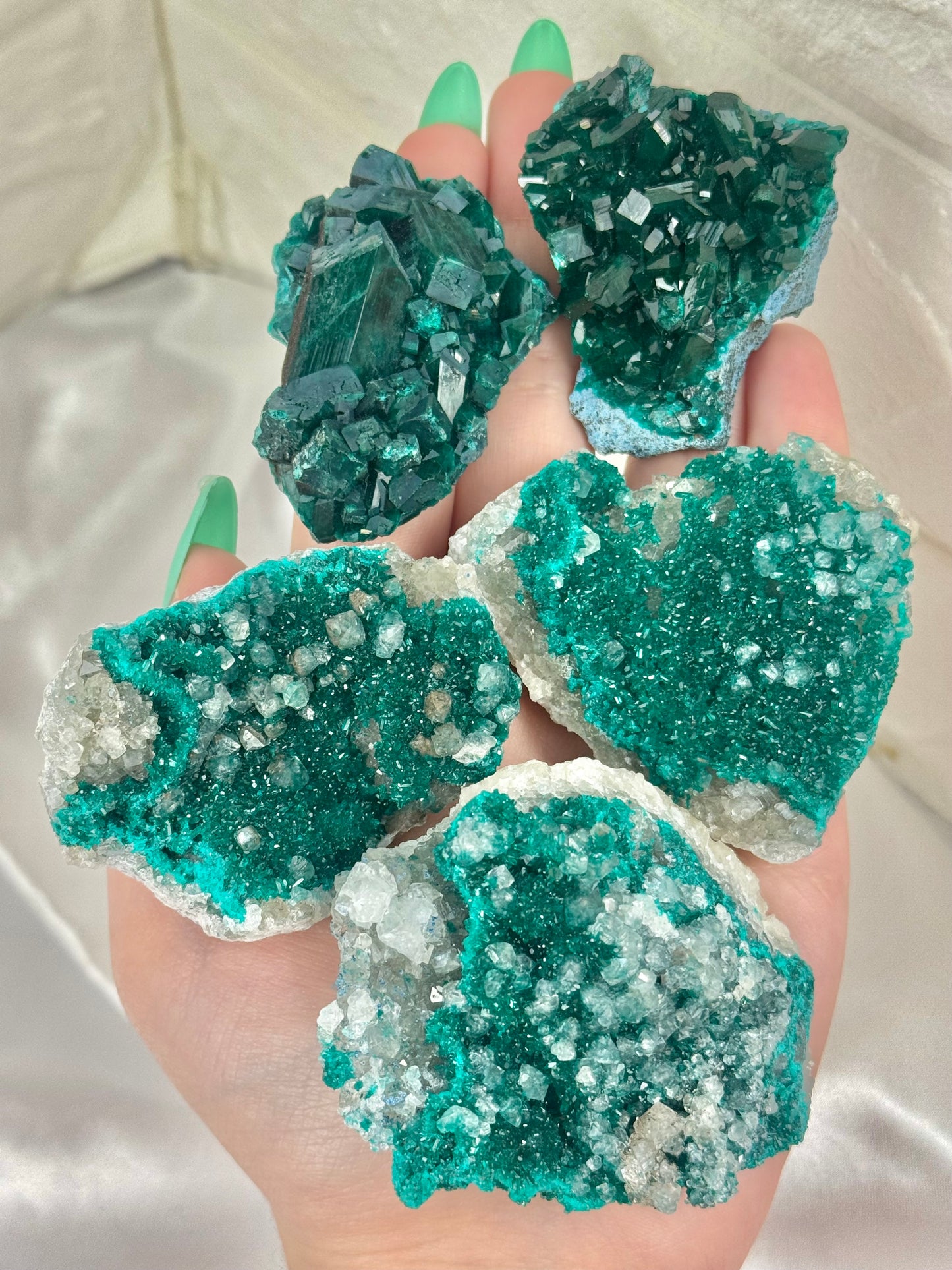 You pick! Insane high-grade dioptase specimens from DRC