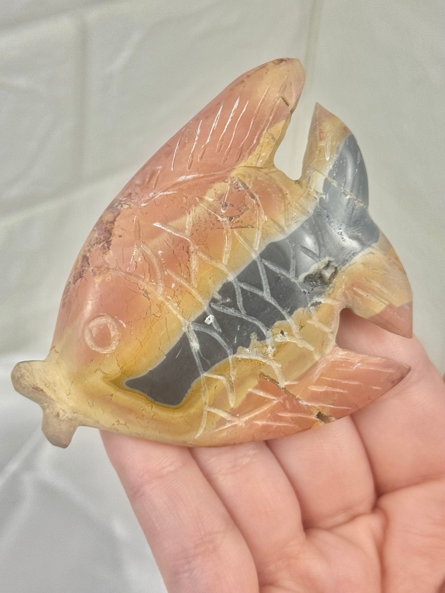 1 beautiful rainbow jasper fish