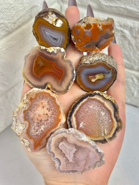 You pick! Stunning Laguna agates from Chihuahua Mexico