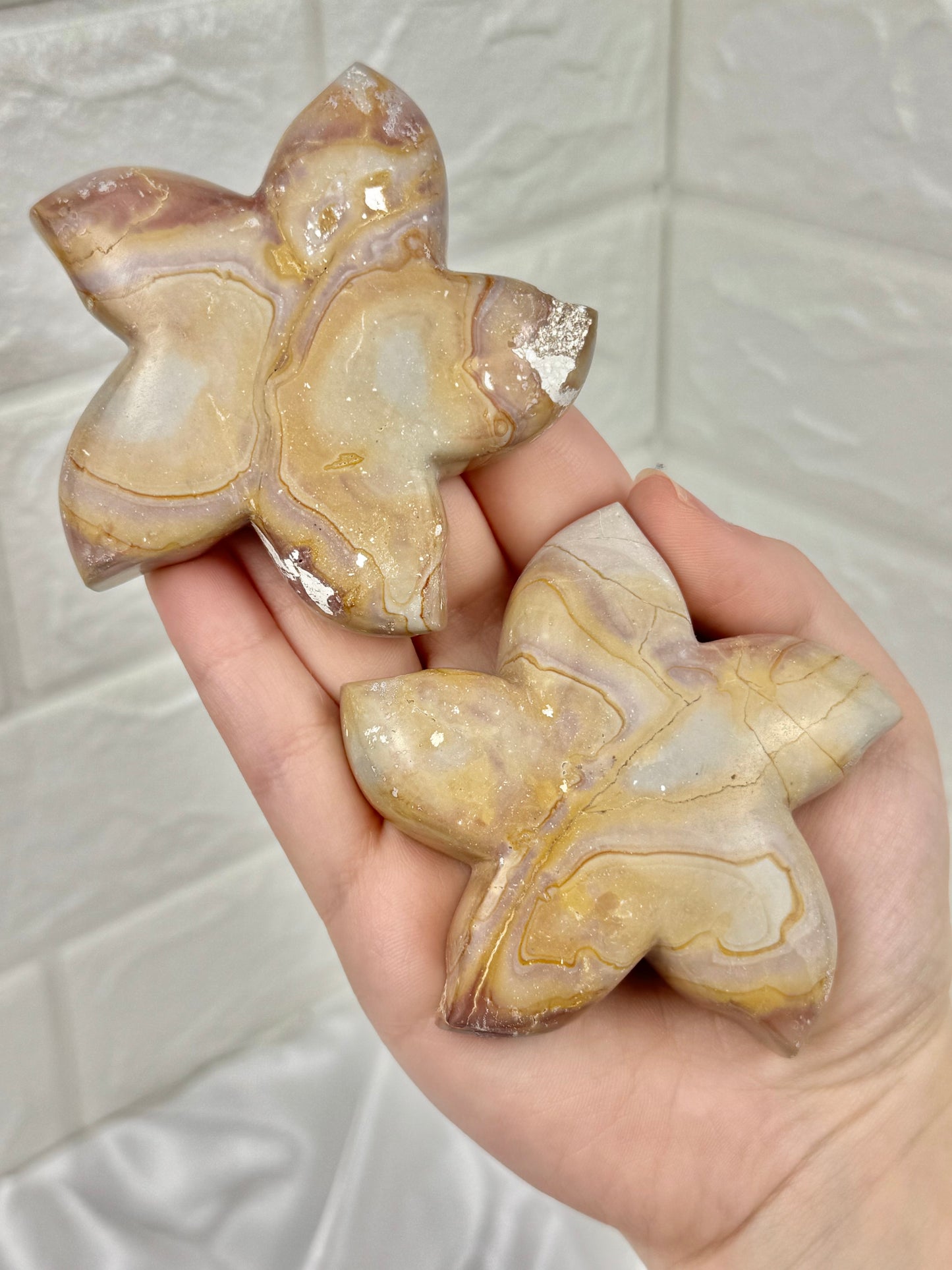1 pastel polychrome jasper starfish
