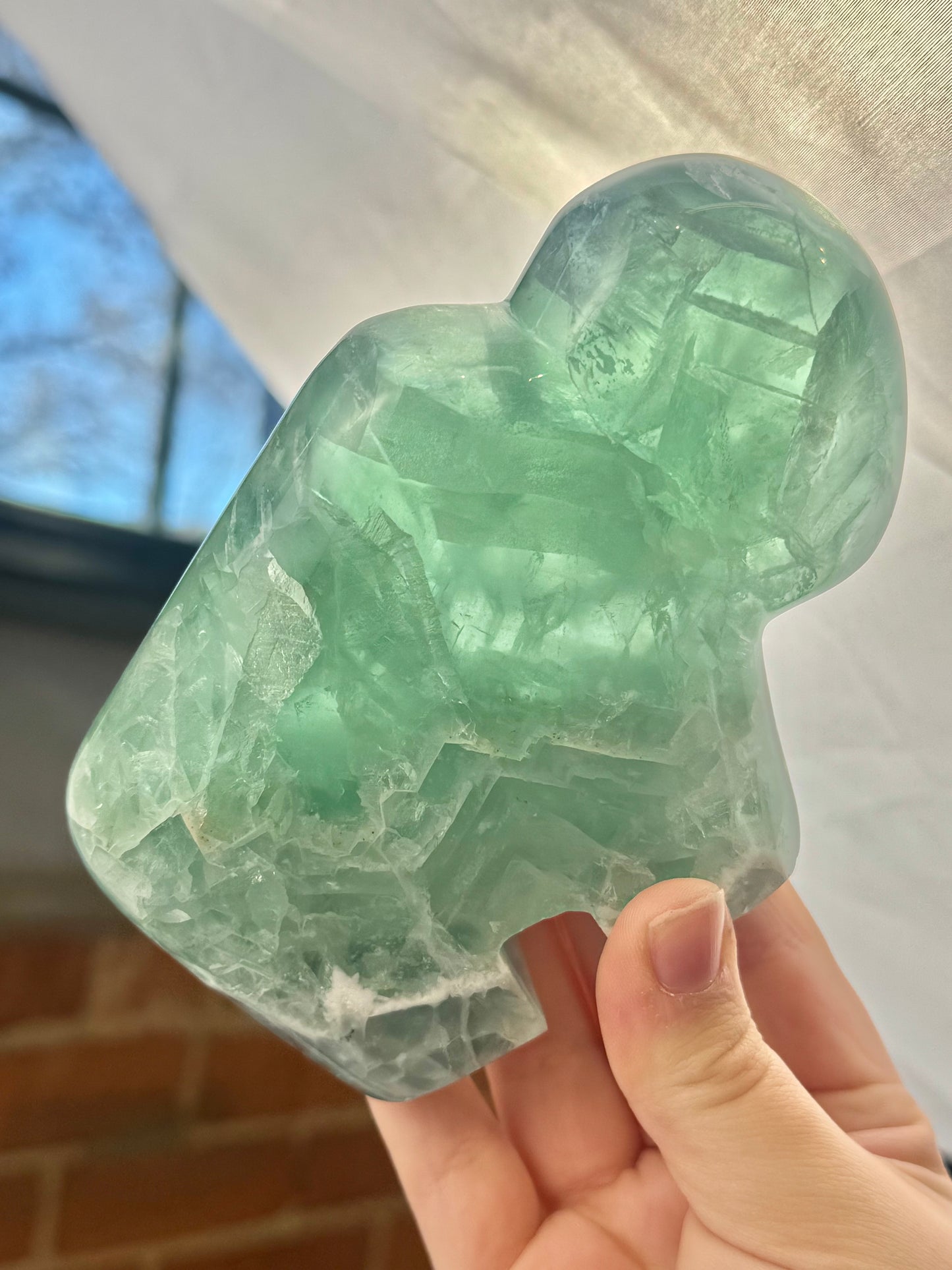 XL stunning Mexican fluorite buffalo
