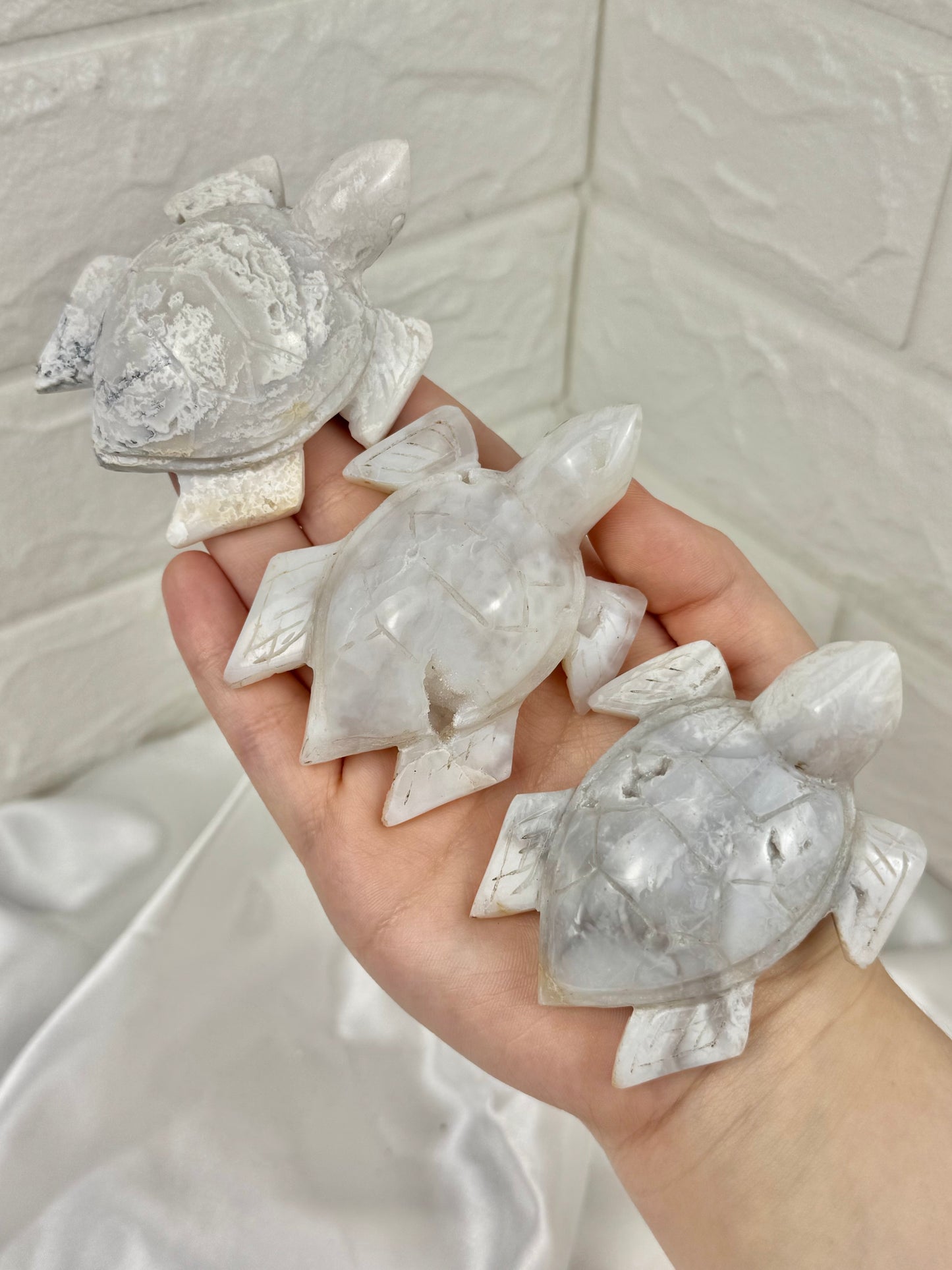 1 druzy snow agate turtle