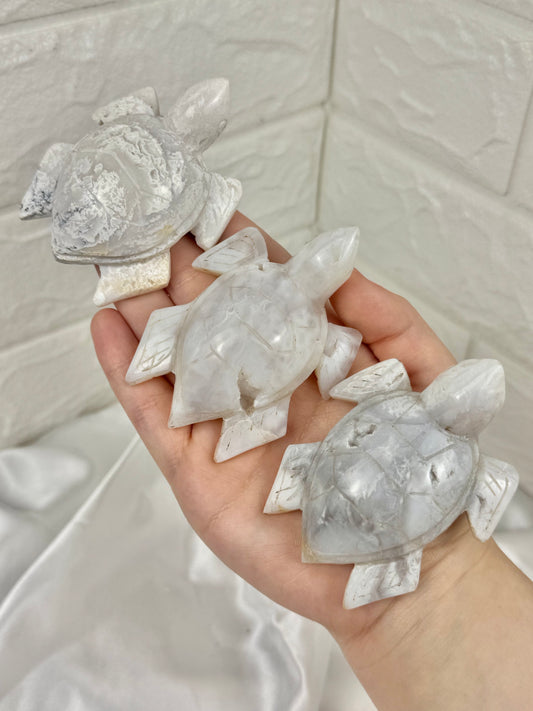 1 druzy snow agate turtle