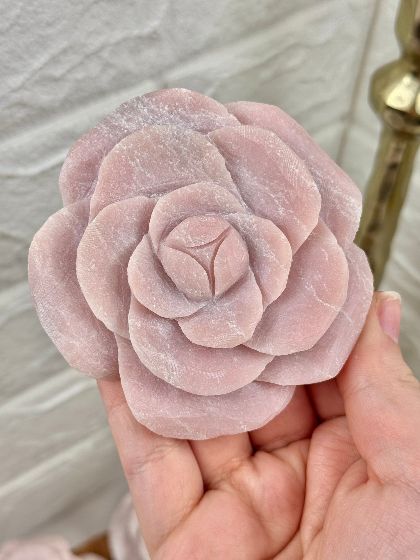 You pick! Pink opal rose’s