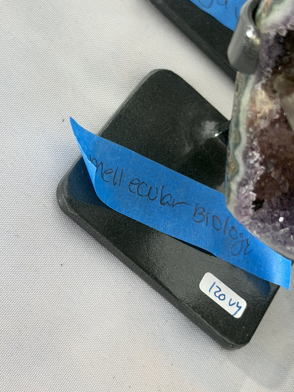 Mellecularbiology