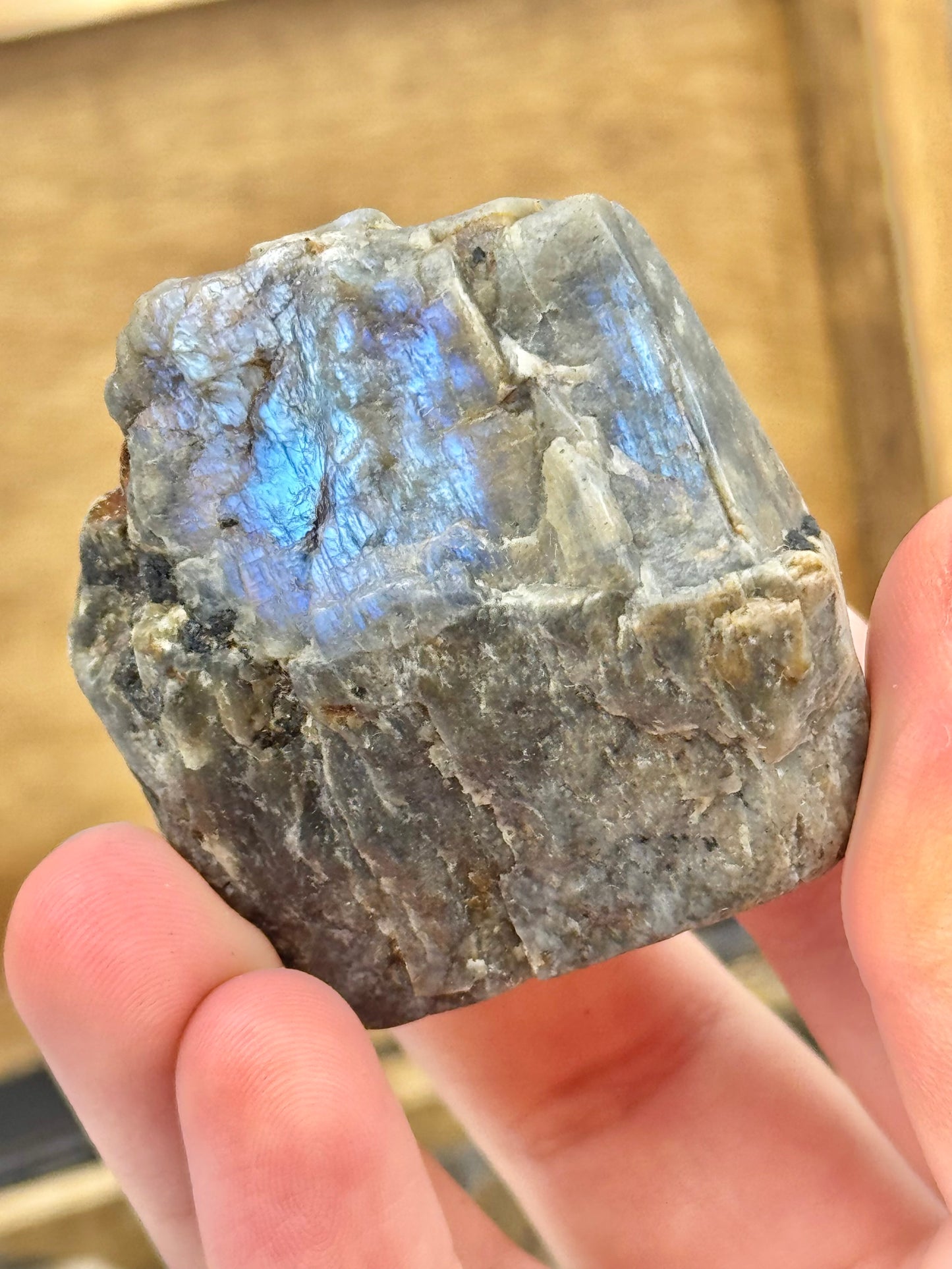 1 raw piece of blue moonstone from Wisconsin