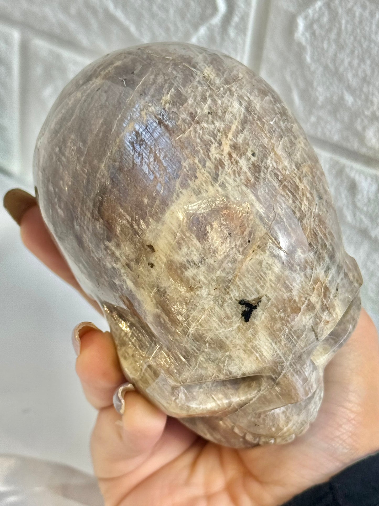 Flashy belomorite skull (moonstone x sunstone)