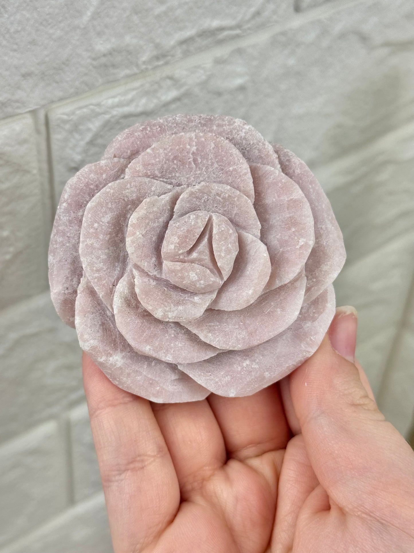 You pick! Pink opal rose’s
