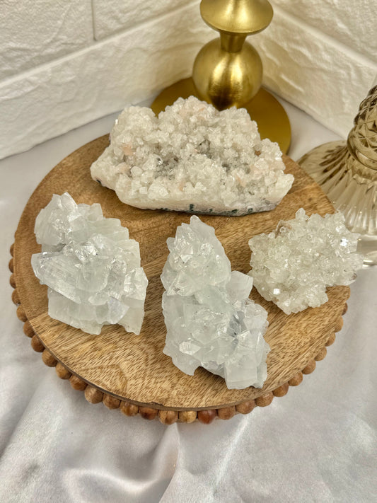 You pick! Diamond apophyllite specimens from India