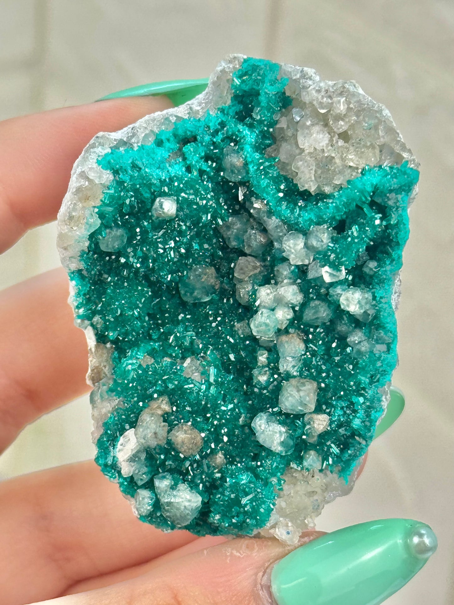 You pick! Insane high-grade dioptase specimens from DRC