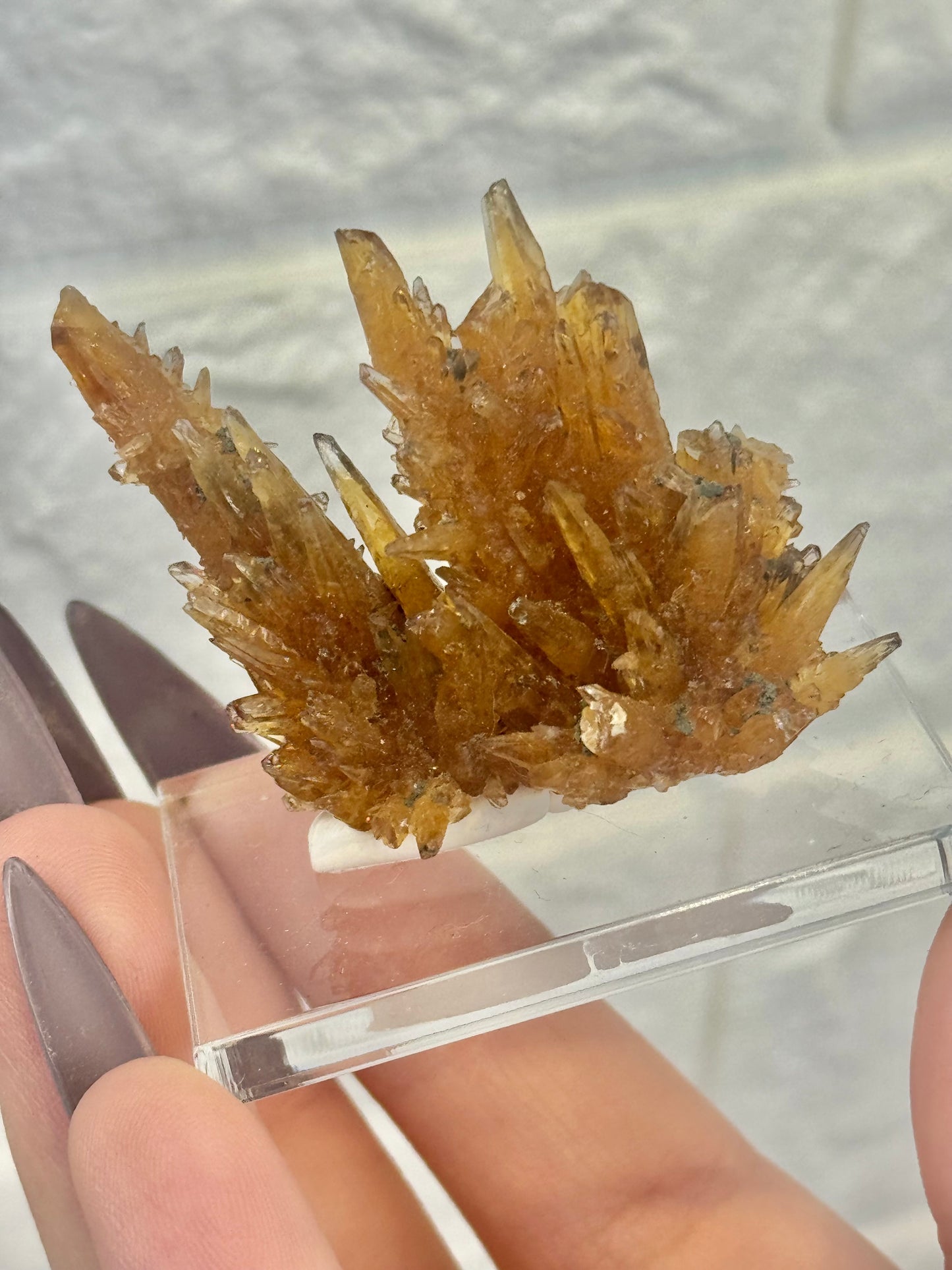 You pick! Incredible amber calcite specimens from Vietnam