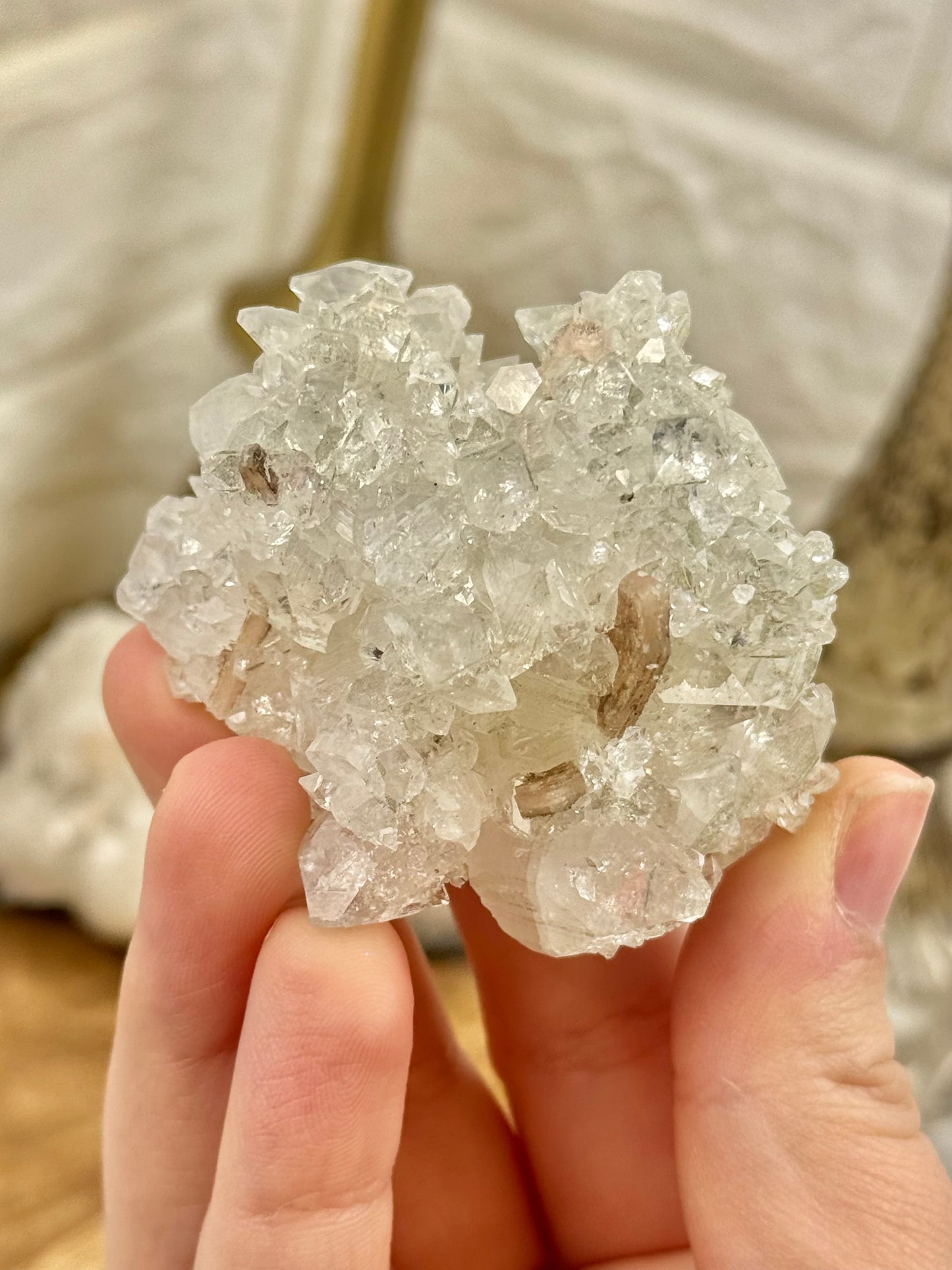 You pick! Diamond apophyllite specimens from India