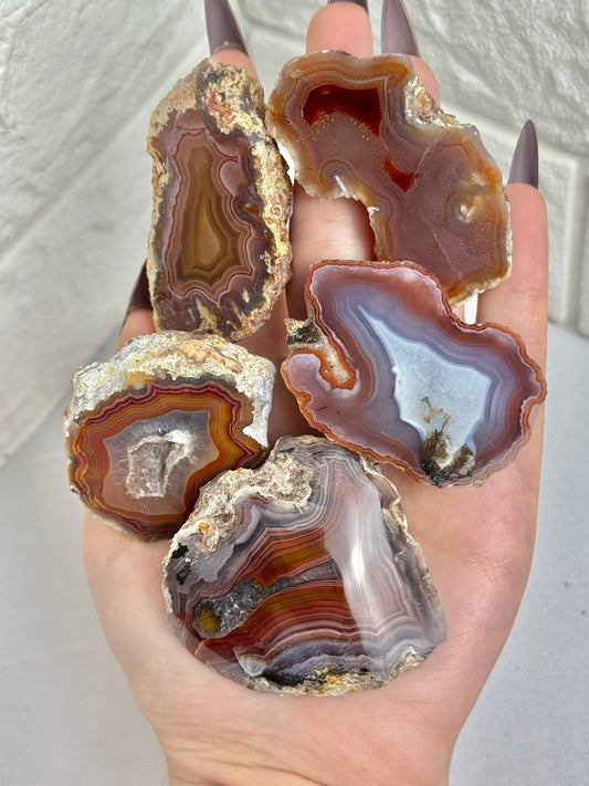 You pick! Insane Laguna agates from Chihuahua Mexico