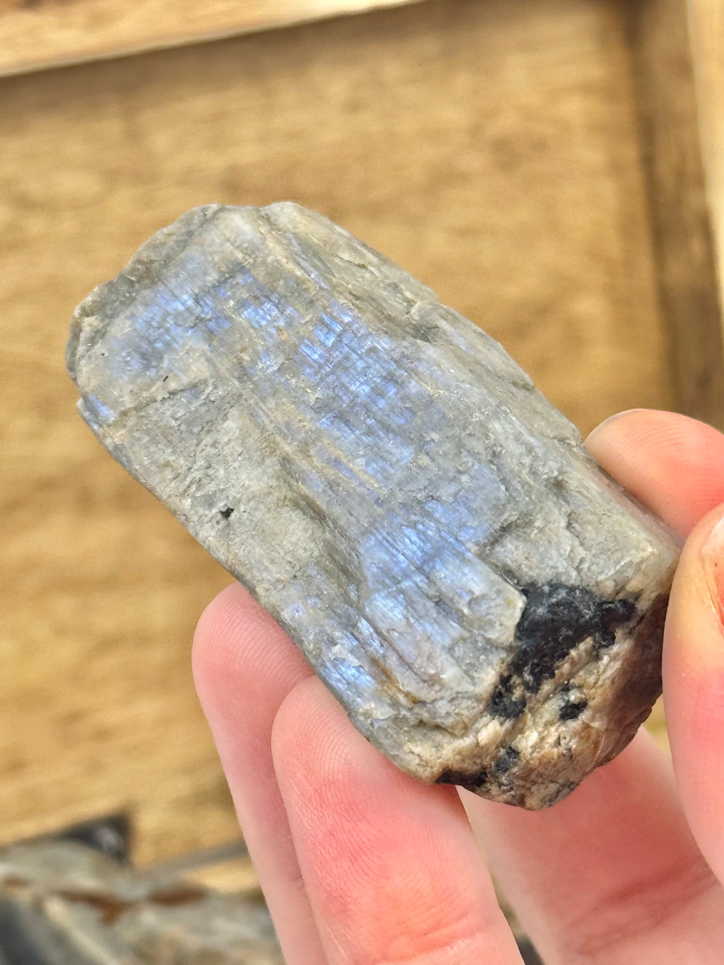 1 raw piece of blue moonstone from Wisconsin