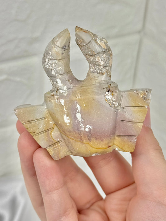 Pastel polychrome jasper crab