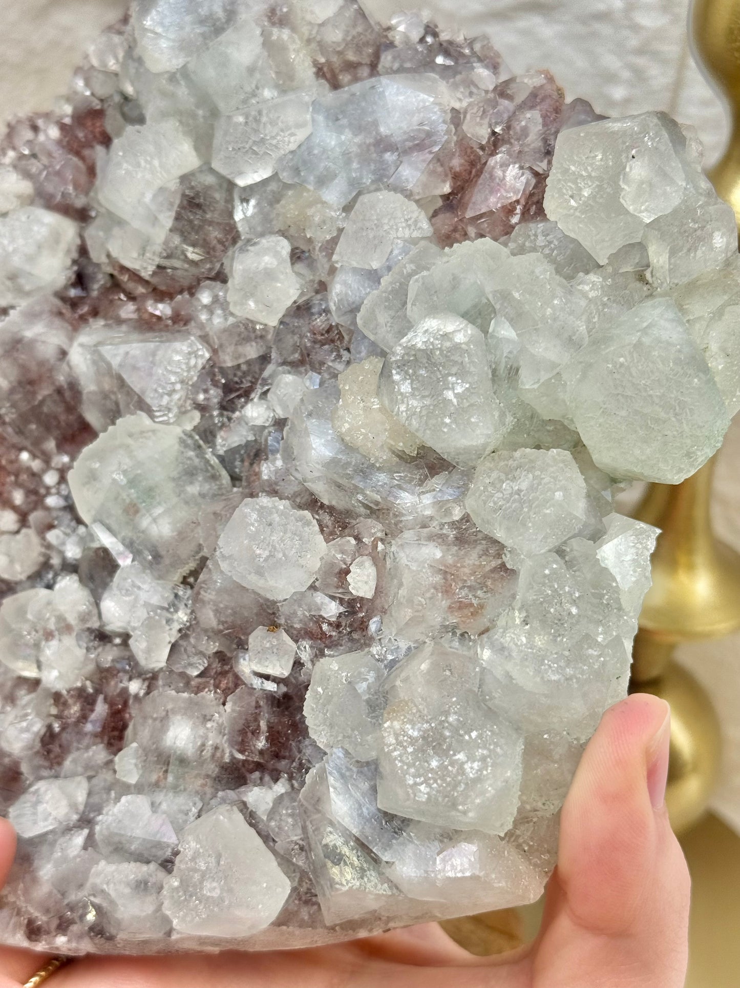 Stunning statement green and red apophyllite specimen from India