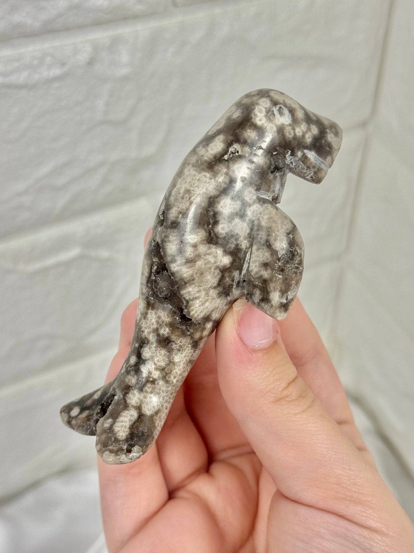 1 adorable Orbicular jasper manatee