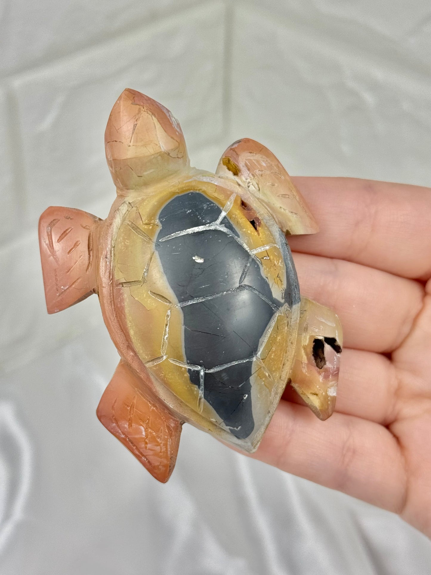1 adorable rainbow jasper turtle