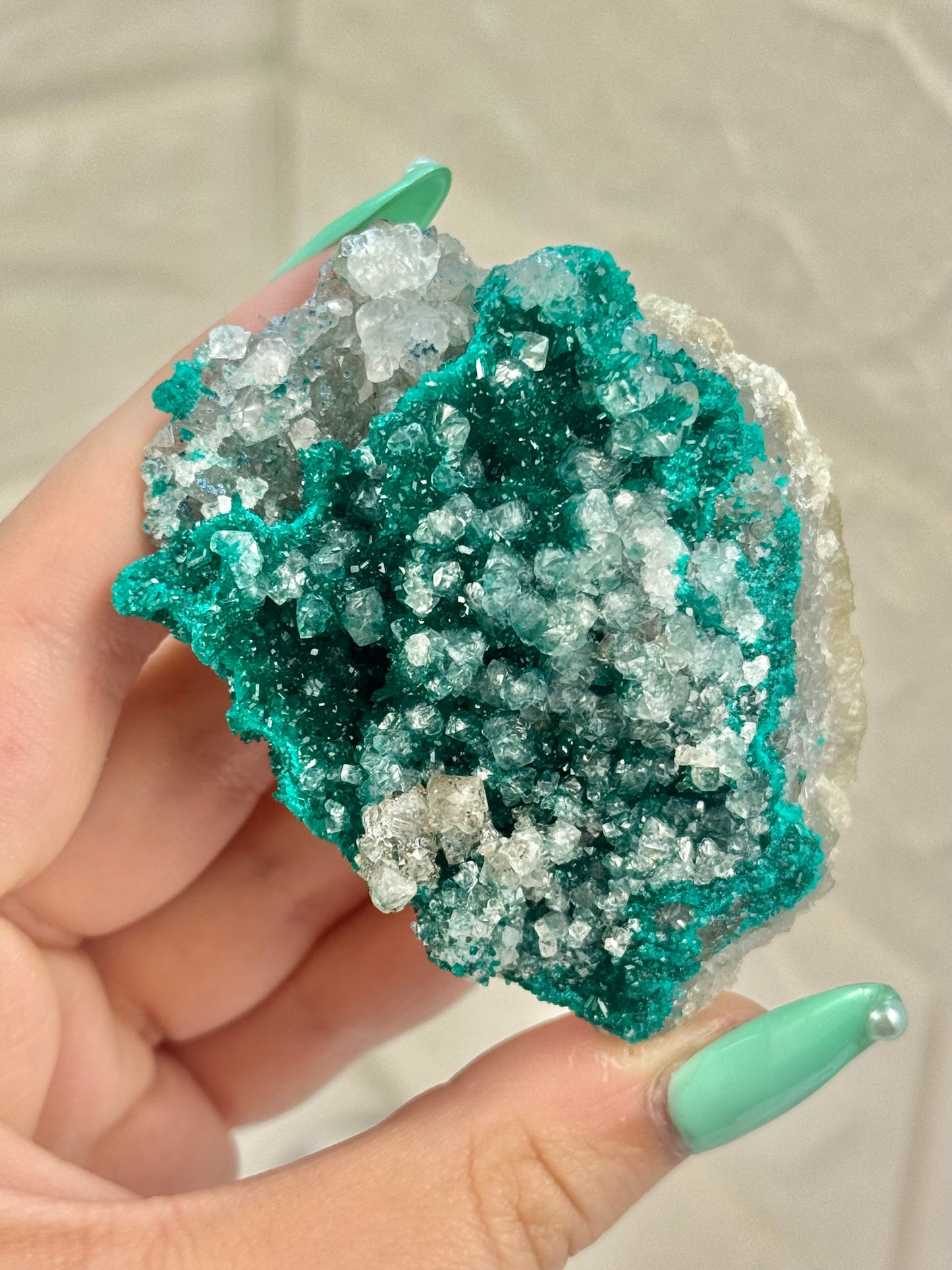 You pick! Insane high-grade dioptase specimens from DRC
