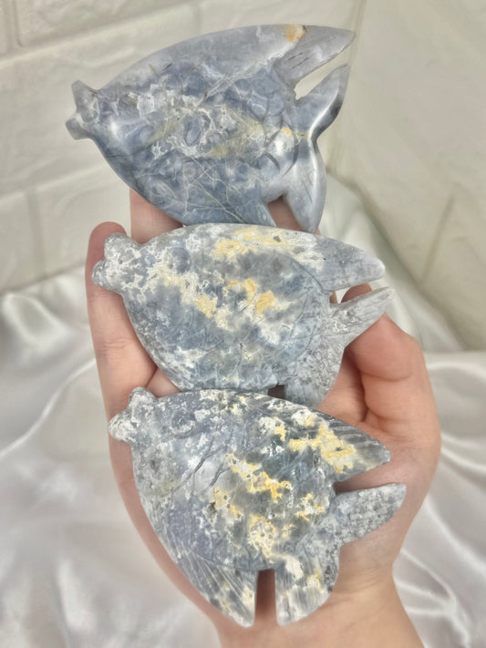 1 beautiful blue plume agate fish