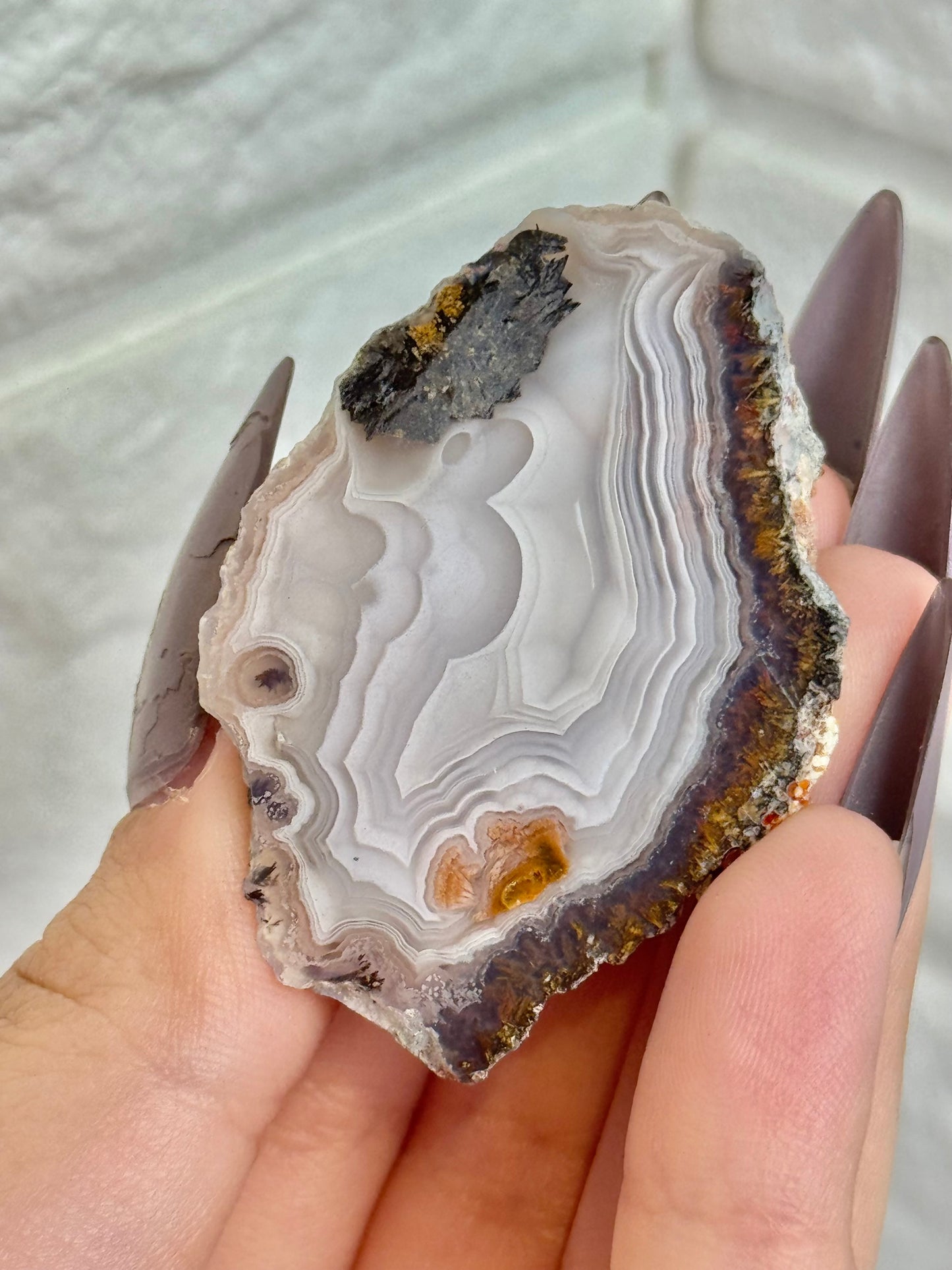 You pick! Stunning Laguna agates from Chihuahua Mexico