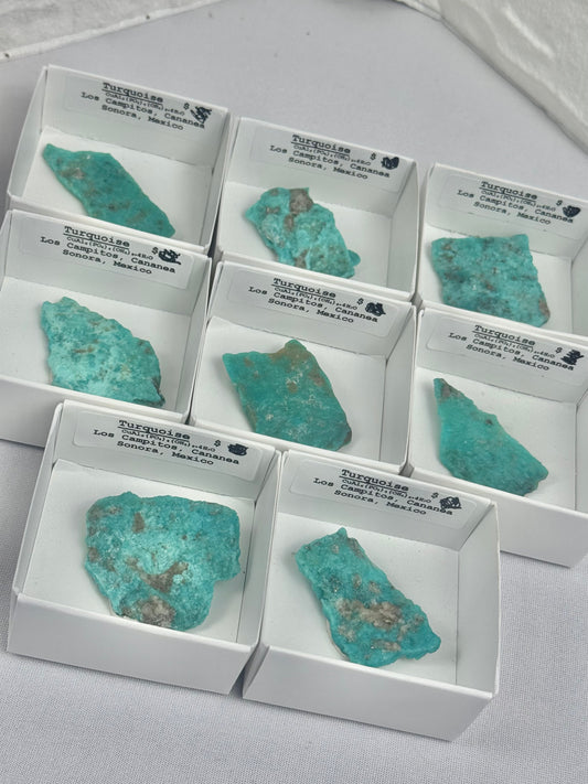 1 turquoise from Sonora Mexico