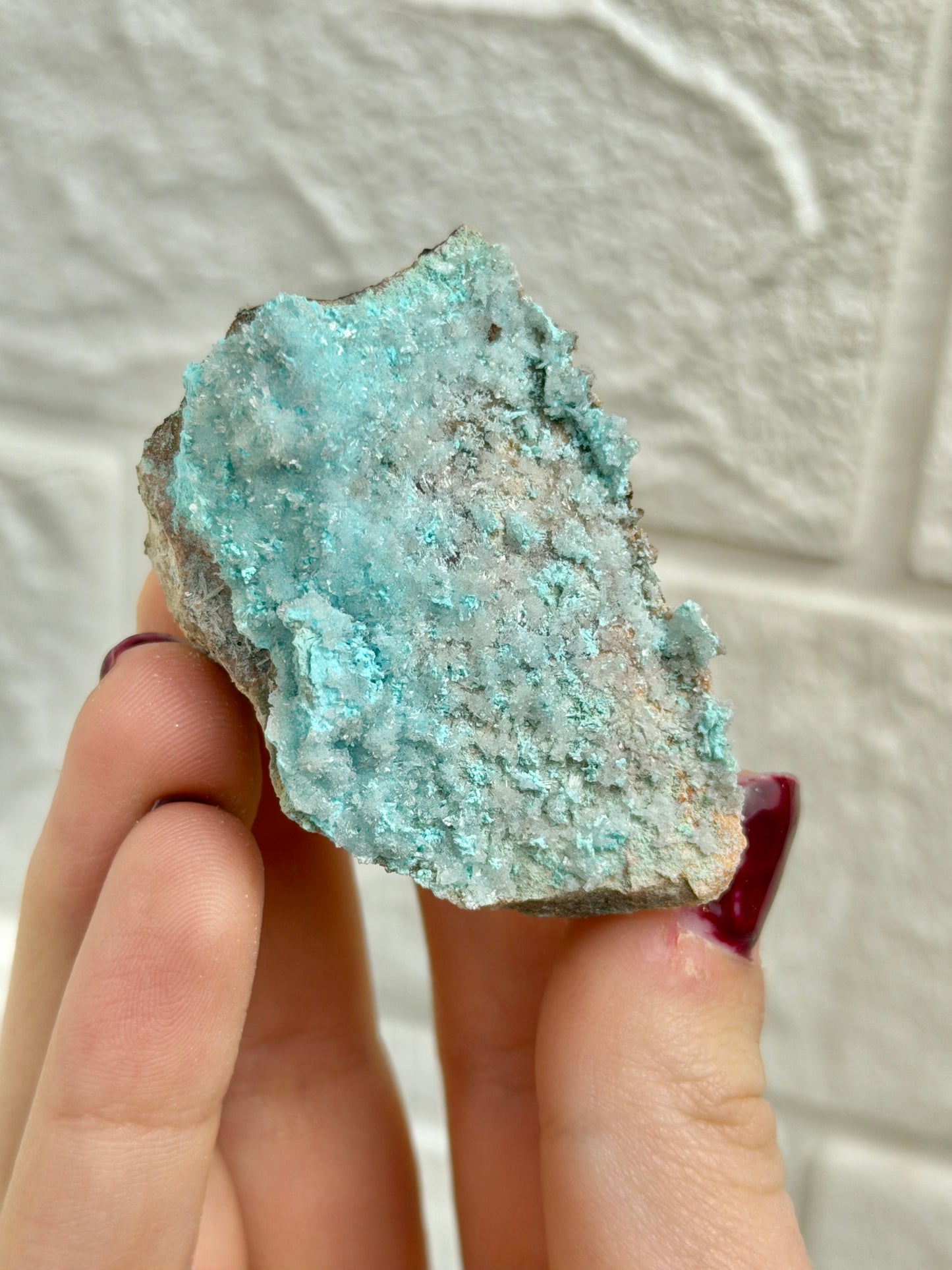 You pick! Aurichalcite specimens from Nevada