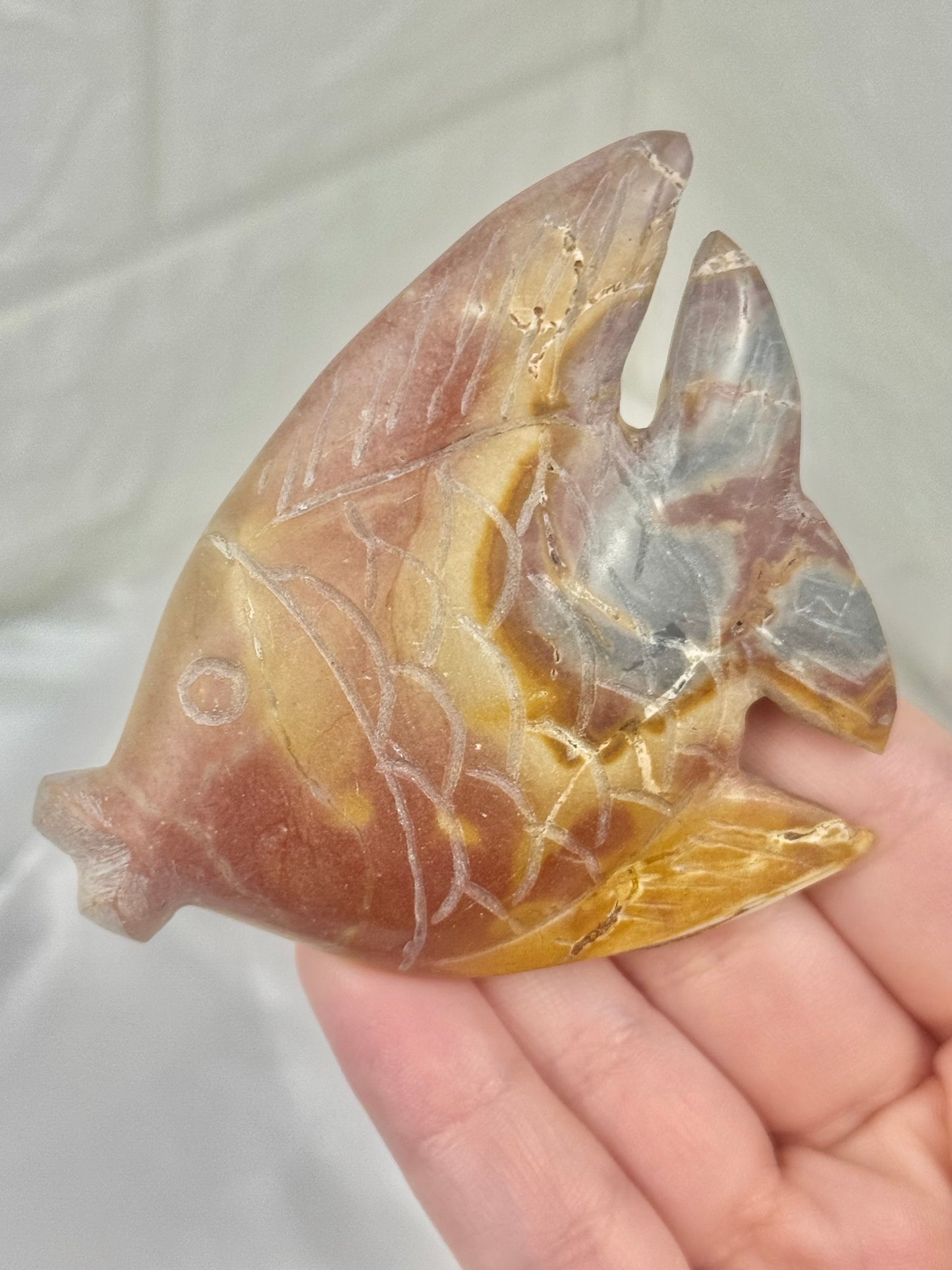 1 beautiful rainbow jasper fish