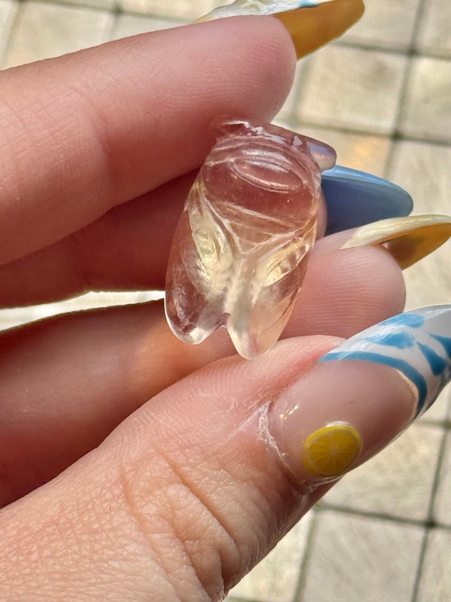 1 intuitive fluorite mini Cicada