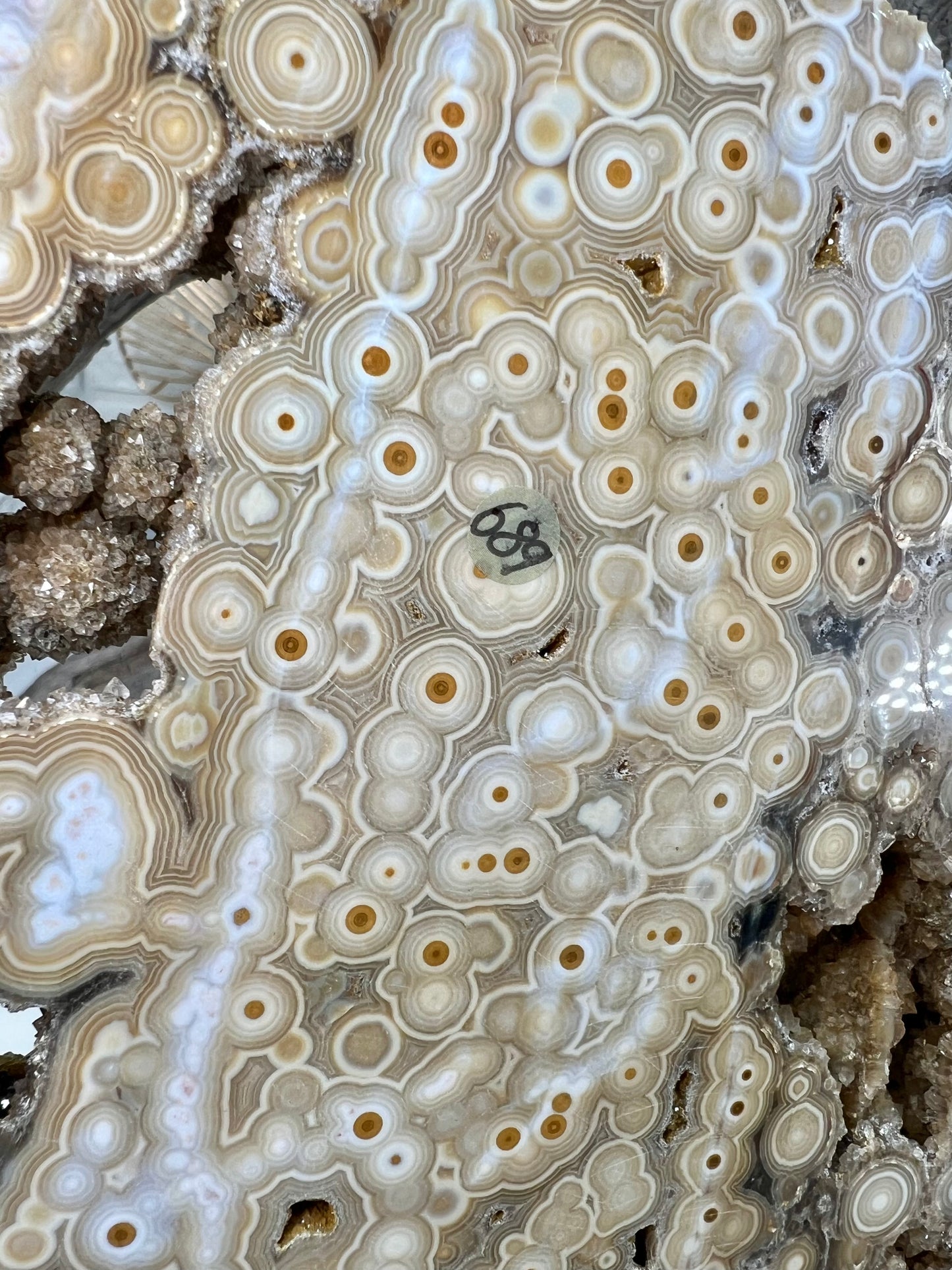 AAA yellow druzy orbicular ocean jasper slab from Madagascar