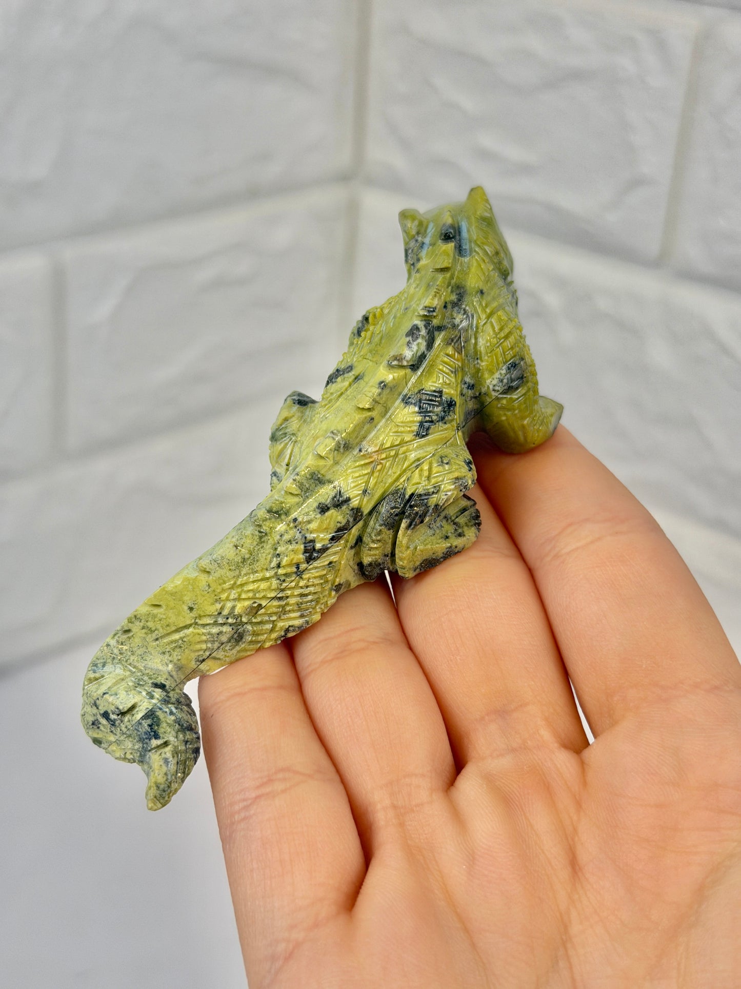 Adorable serpentine iguana