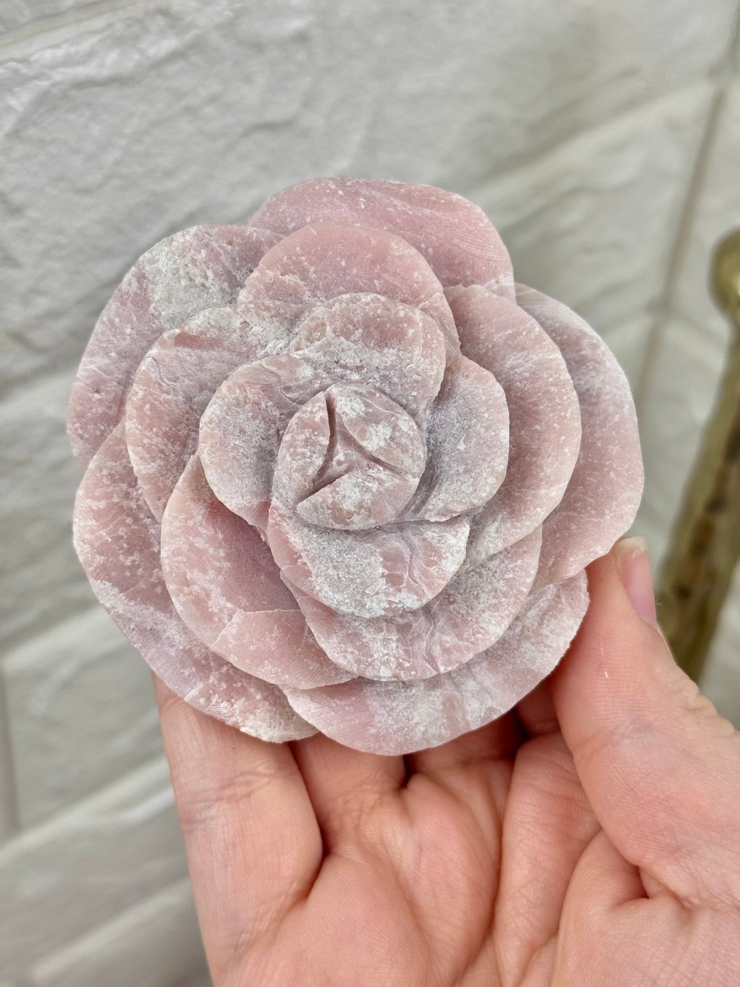 You pick! Pink opal rose’s