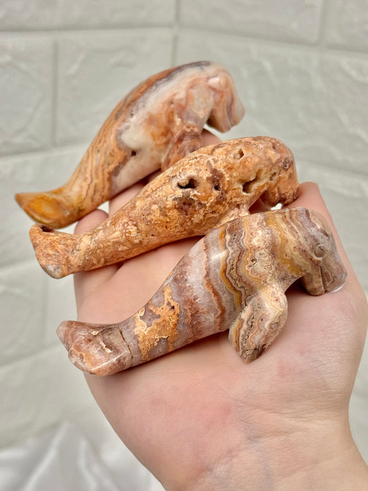 1 adorable pink crazy lace agate manatee