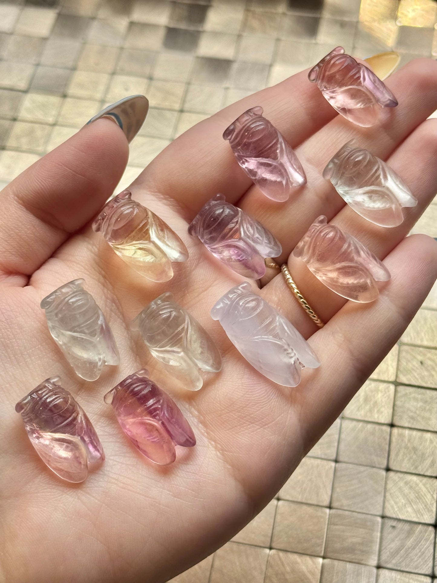 1 intuitive fluorite mini Cicada