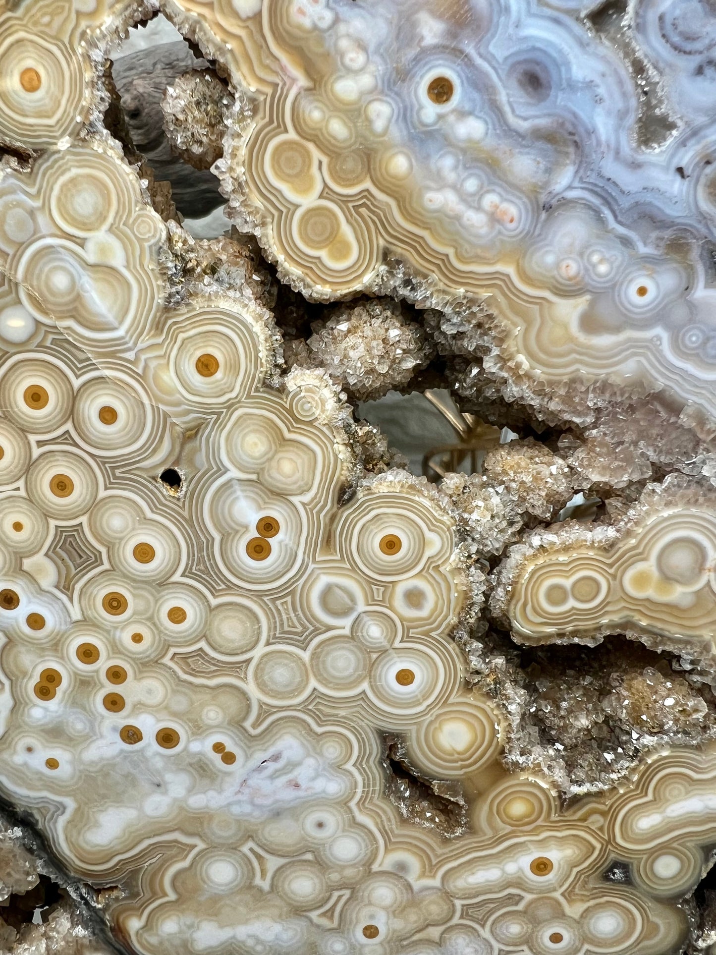 AAA yellow druzy orbicular ocean jasper slab from Madagascar